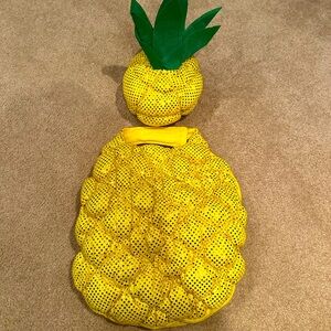 Size Large Dog costume